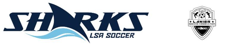 Georgia Soccer banner
